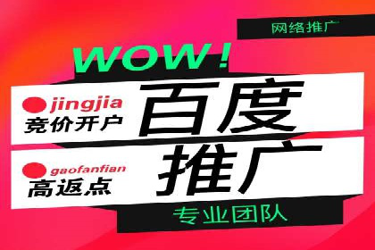 某品牌SEM推广策略的成效与启示